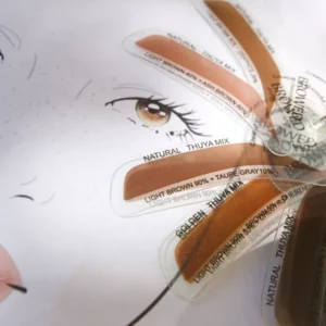 Eyebrow-Eyelash-Tinting-Guide-Thuya-products-Beauty-online-store-in NZ