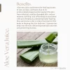 The-Body-Bakery-Night-repair-creme-Manuka-Honey-Q10-Beauty-Supply-Store-Nelson-New-Zealand