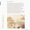 The-Body-Bakery-Night-repair-creme-Manuka-Honey-Q10-Beauty-Supply-Store-Tauranga-New-Zealand